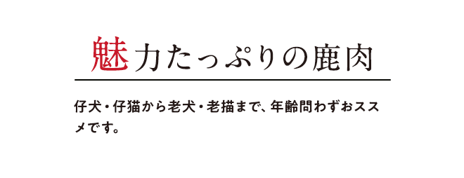 魅力たっぷりの鹿肉