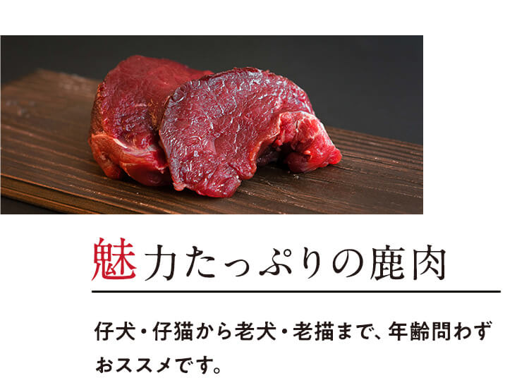 魅力たっぷりの鹿肉