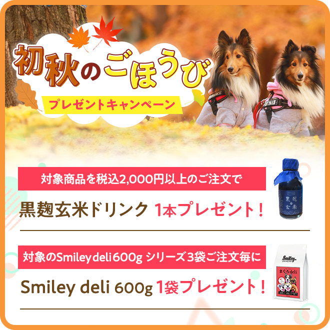 新品未読　犬と猫のための手作り食 : ペットの健康のための賢い選択 新品未読 犬と猫のための手作り食 : ペットの健康のための