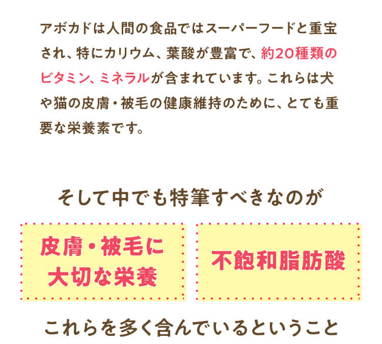 皮膚・被毛に大切な栄養、不飽和脂肪酸を多く含んでいるということ