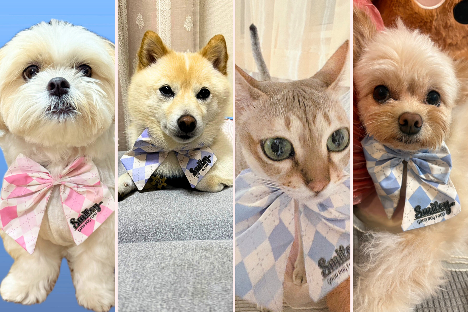 Smileyリボン着用イメージ