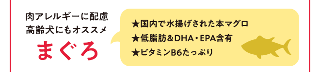 肉アレルギーに配慮 高齢犬にもオススメ まぐろ