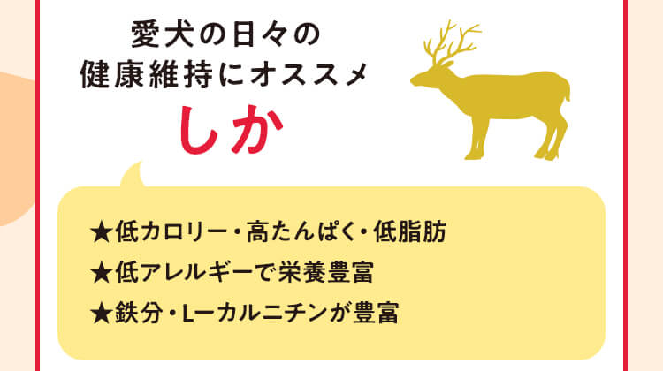 愛犬の日々の健康維持にオススメ しか