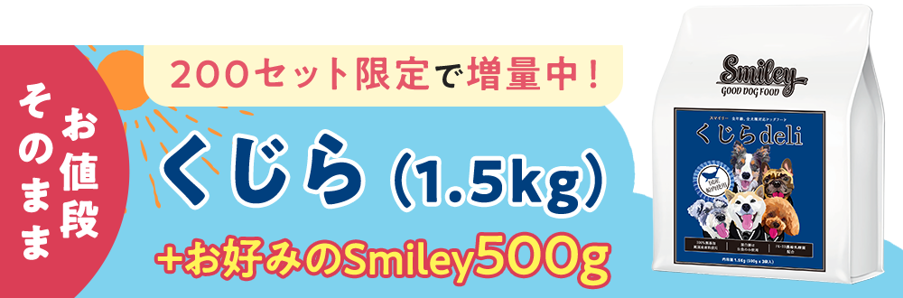 くじら夏バテ防止