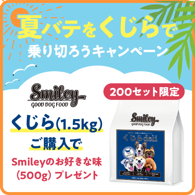 夏バテくじらCP